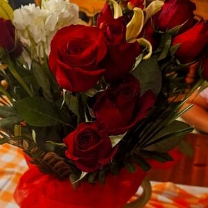 Meet your Posher, Ellie